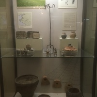 Экспозиции историко-археологического музея им. Е.Д. Фелицына