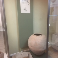 Экспозиции историко-археологического музея им. Е.Д. Фелицына