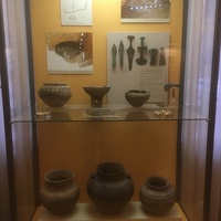 Экспозиции историко-археологического музея им. Е.Д. Фелицына