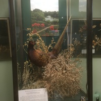 Экспозиции историко-археологического музея им. Е.Д. Фелицына