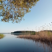 Озеро Урицкое, деревня Урицкое