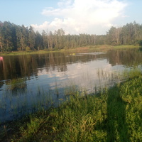 Озеро Чистое, 19 августа 2023, Воронежский Биосферный заповедник
