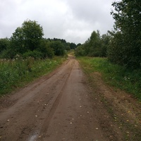 Дорога из села.