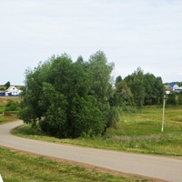 Село Николаевка