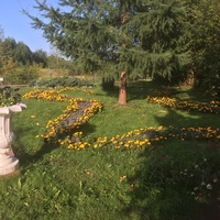 Мемориальный ботанический сад Демидова. Экспозиция "Французский сад"