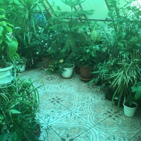 Мемориальный ботанический сад Демидова. Оранжерея