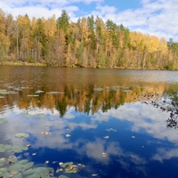 Озеро Карцевское.