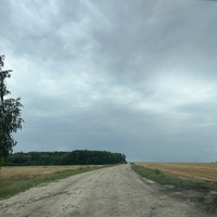 Окрестности селя Черногай Пензенской области