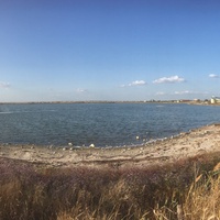 Панорама озера Ялы-Мойнакское со стороны греко-скифского городища "Чайка"