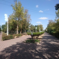 Аллеи парка у дельфинария около перекрёстка улиц Московской и Маяковского
