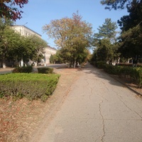 Пешеходная аллея на проспекте Ленина