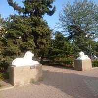 Декоративные сооружения "Львы" перед Публичной библиотекой имени Императора Александра II (ныне Центральная городская библиотека имени Пушкина)