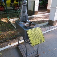 Памятник-копилка бездомному коту