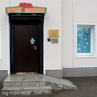 Музей медведя на пр. Победы.