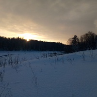 Природа родного края