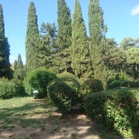 Парк Ливадийского дворца