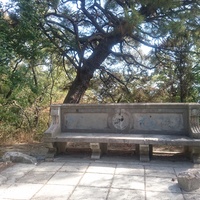 Парк Ливадийского дворца