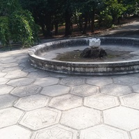 Парк Ливадийского дворца. Фонтан "Лотос" (на месте бывшего фонтана "Рыбка").