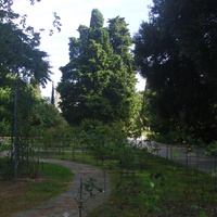 Никитский ботанический сад. Верхний парк.