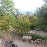 Никитский ботанический сад. Верхний парк.