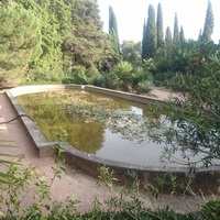 Никитский ботанический сад. Нижний парк. Бассейн