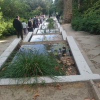 Никитский ботанический сад. Нижний парк. Лестница с каскадом бассейнов
