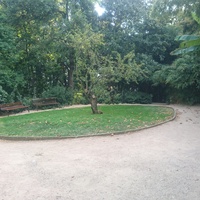 Никитский ботанический сад. Нижний парк.