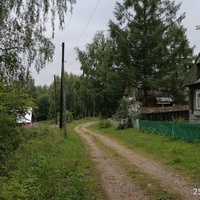Деревня Ольховец, Сандовский район...