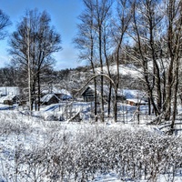 Заидомка деревни Щедрино