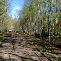 Дорога в село Лучинское