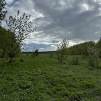 Бывшая дорога по заброшенной улице