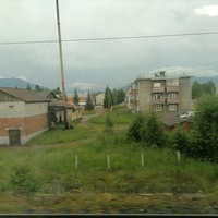 Выдрино