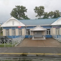 Станция Выдрино
