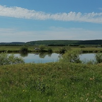 Оз. Капельниковское (июнь 2024)