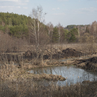 Пойма реки Молокча на краю деревни Гидеево