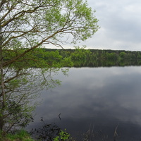 Водохранилище на реке Друть