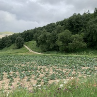 Байкатмахи