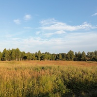 Никифорово