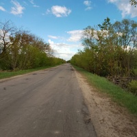 Центральная дорога