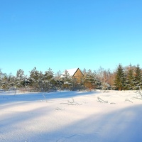 Волково