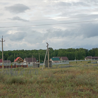 Пионерская Роща