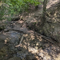 Тропинка к водопаду