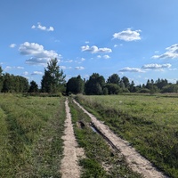 Горностаево