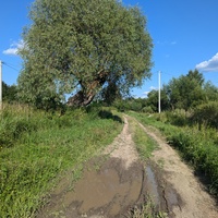 Горностаево