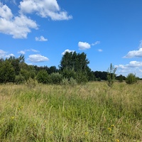 Окрестности деревни