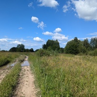 Около деревни