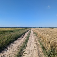 Поле около Леонтьево