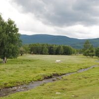 Речка Куладинка.