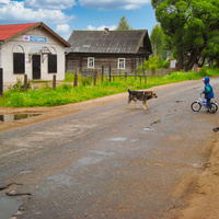 Новгородская улица