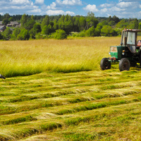 В поле за Бургой